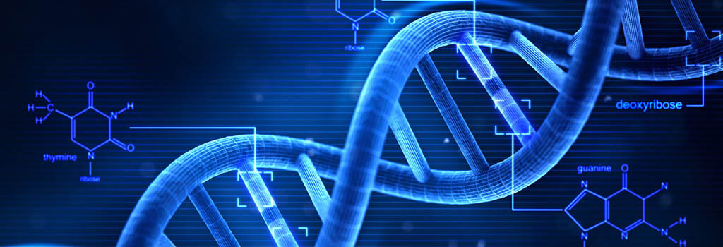 Production With Enthusiasm